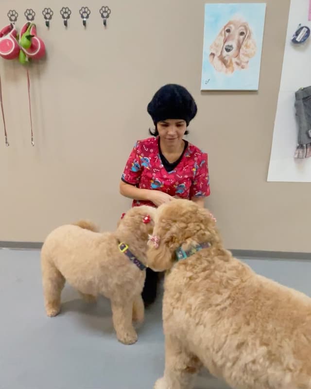 Lily playing with Dogs 1
