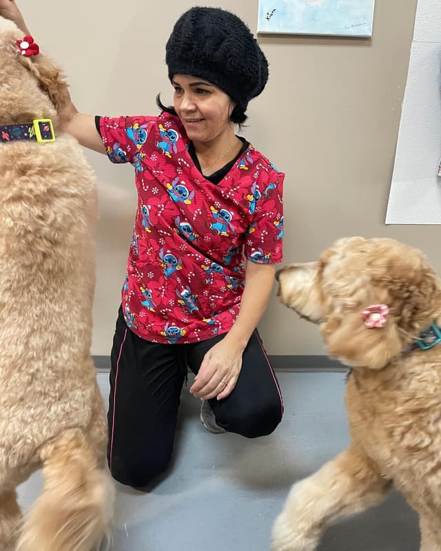Lily playing with Dogs 1